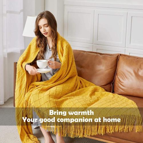 China Cozy Luxury Microfiber Knitted Throw Blanket with Tassel Manufactory