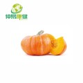 Polvo de calabaza en polvo liofilizado de calabaza