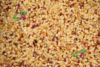 paprika seeds Chilli Seeds