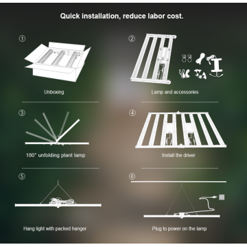 Lampe de croissance de l&#39;usine à haute puissance Dimmable 800W