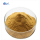 Bulk Product Cordyceps Sinensis Extract