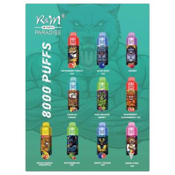 OEM Vape R&amp;M Paradise 8K Wholesale New Style