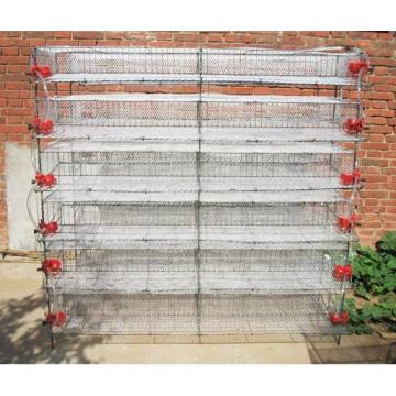 Quail egg laying cages