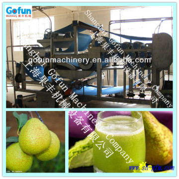 Chinese Belt Press Pear Juice Extractor