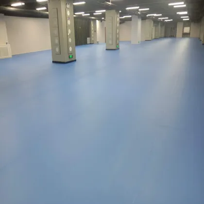 Ping-pang game use ball court flooring