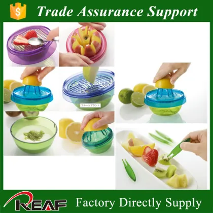 Fruits plant kitchen decoration Salad making tools