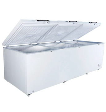 Guter Preis 1215L Tiefe Brustgefriergräbchen: 12 V/24 V DC Solar Refineration Solutions Lösungen