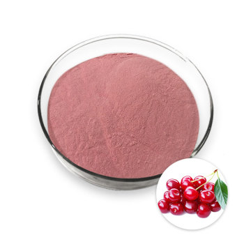 Pure natural Acerola Cherry Extract Powder