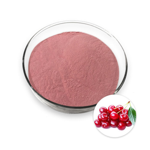 Pure natural Acerola Cherry Extract Powder