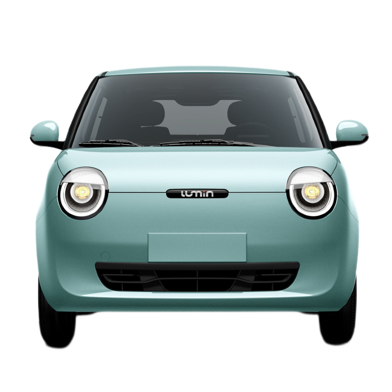Affordable Electric Vehicle