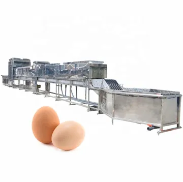 5000 Pcs/H Fresh Egg Washing Line - Egg Brushing Sterilization Machine