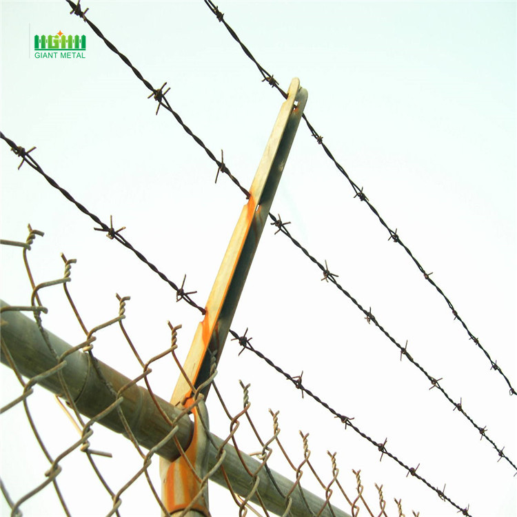 High-tensile Wire Barbed Wire for Apartment House