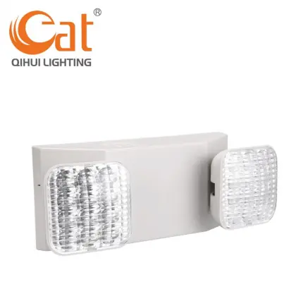 Emergency light fixture with two heads