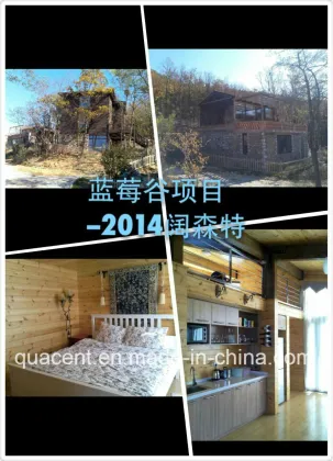 Prefabricated Buidling --Berry-Valley Villa