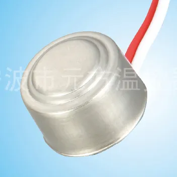 Home Appliance Thermostat 