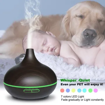 400ml Most Population Anion Ultrasonic Humidifier