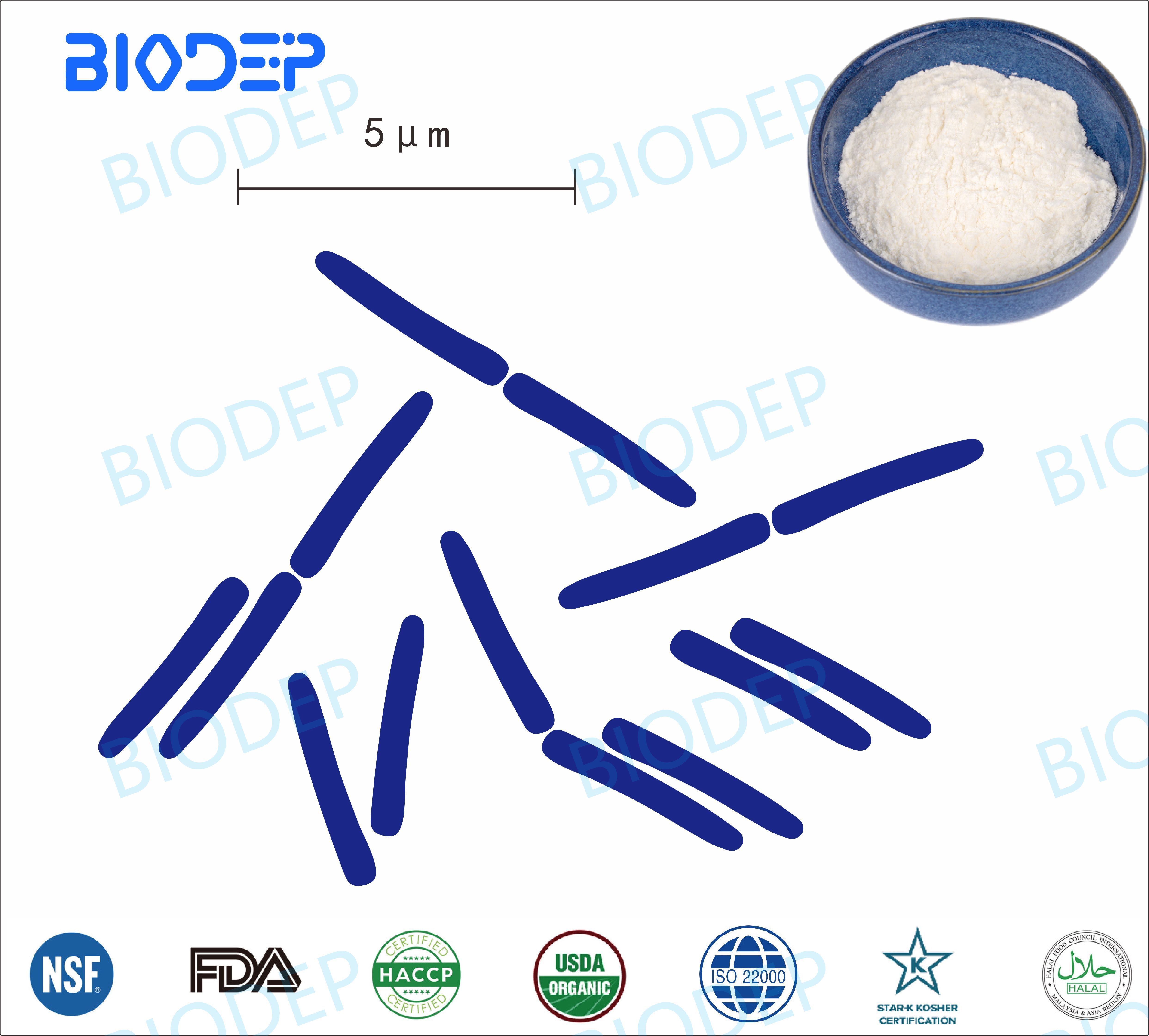Lactobacillus delbrueckii subsp. bulgaricus