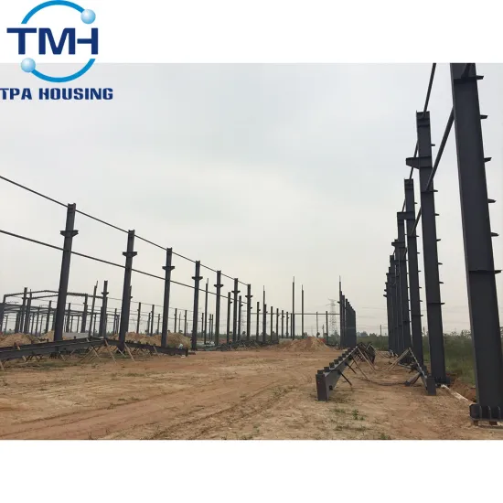 Professional Light Weight Steel Workshop Building