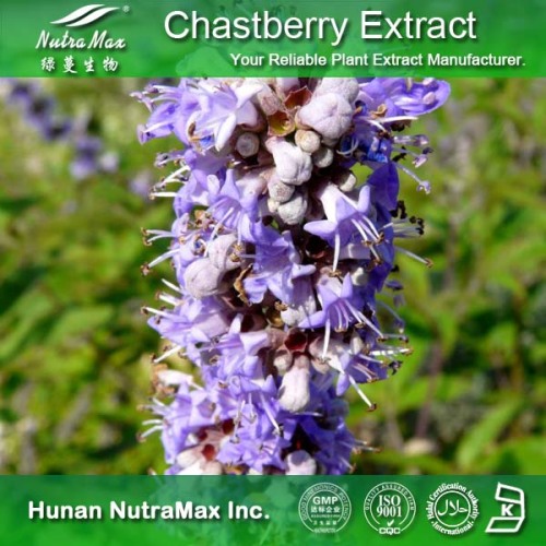 100% Natural Chasteberry Extract Powder (5% Vitexin, Flavones 5%, Agnuside 0.5%~2%)