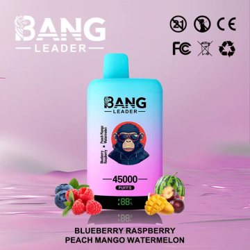 Bang 45K Puffs Vape 2% Nic Italy In Stock