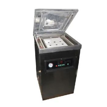 DZ400-2D Stainless steel single chamber vacuum packaging machine