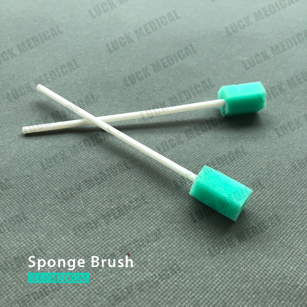 Disposable Sponge Brush Single Use