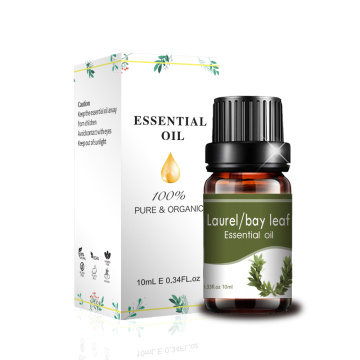 10ml logotipo personalizado grau cosmético Laurel Oil Bay Leaf Oil