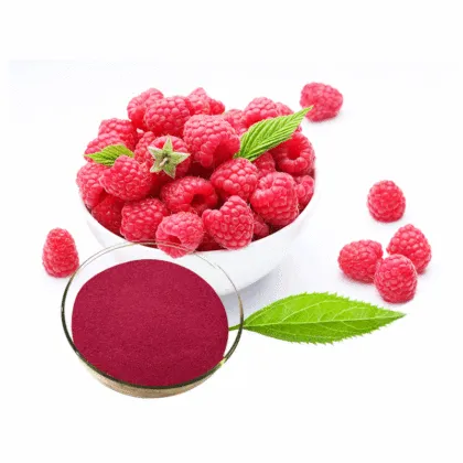 Raspberry Extract Fruit Powder