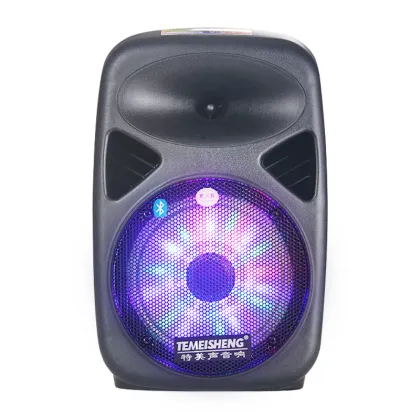 Temeisheng 8 Inch Portable Surround Sound Speaker