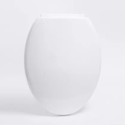 Egg shaped siphon one piece toilet cover