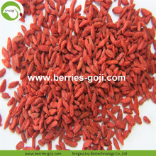 Factory Supply Fruits Dried Health Benefits Goji Berry