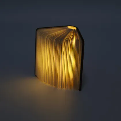USB Rechargeable Book Shaped Ambient Light for Indoor