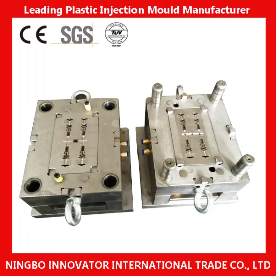 Plastic Injection Mould Design and Process with Good Quality (MLIE-PIM099)