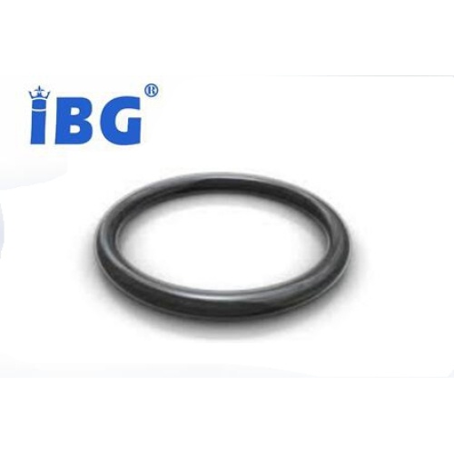 FKM+Teflon PFA Encapsulated O-Ring