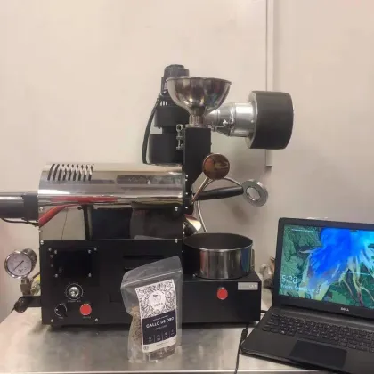 Professional Artisan Coffee Roaster Machine - WS-200 Drum Coffee Roaster for Sale