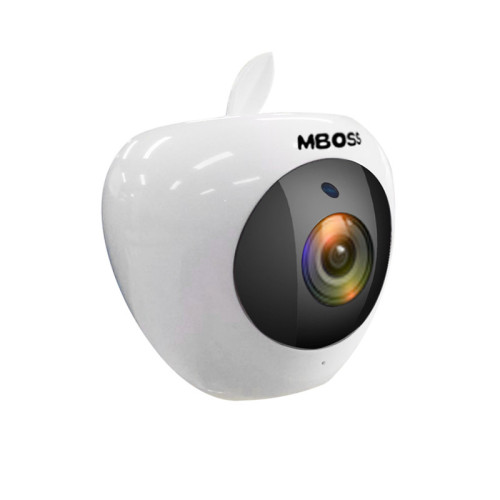 Cute Design 1080P Motion Sensor Wifi IP Camera