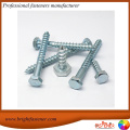 DIN571 Hex Head Wood Screw