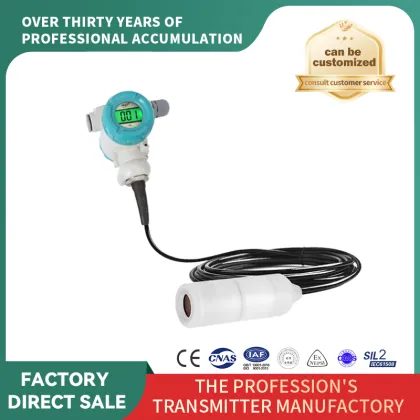Waterproof Level Sensor Corrosion Proof Transmitter