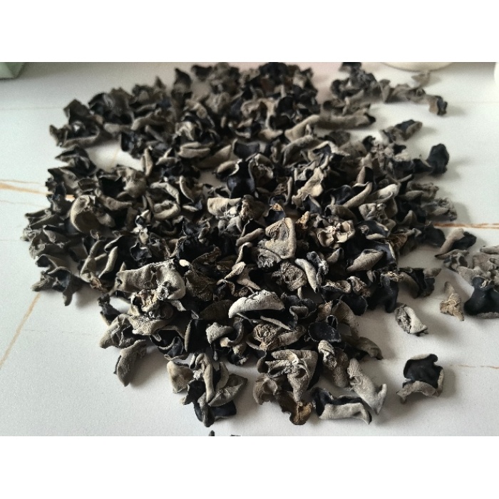 Fungo de orelha de madeira ensacada preta