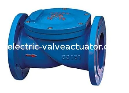 H44x (sfcv) Cast Iron Flange Rubber Disc Check Valve For Pump, Weak Corrosive Fluid