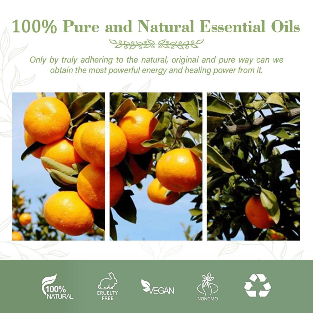 High Quality Products Pure Variety Best Taste Clementine Oil at Wholesale Price