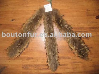 raccoon trimming
