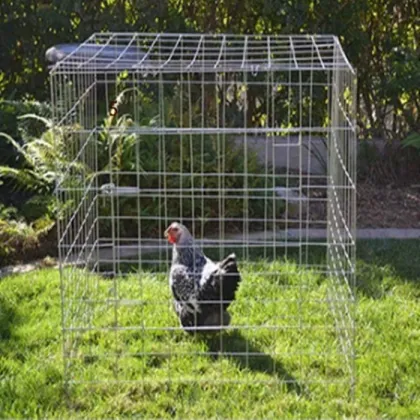 Foldable Chicken Pen Cage for Rooster Flying Pen