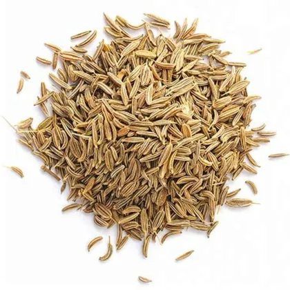 Top Quality 100% Natural Spice Cumin Seeds