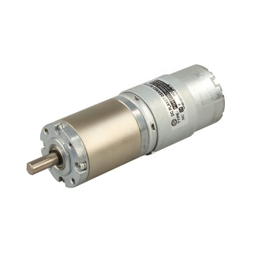High Torque DC Electric Planetary Gear Motor for Lawn Mower (10W-25W, 200kgf-cm)