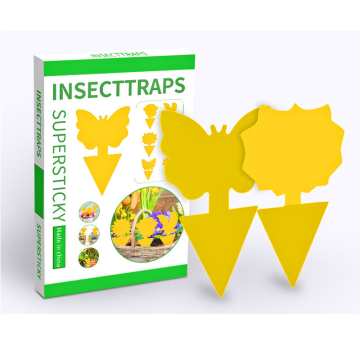 Wholesale Non-toxic Yellow Sticky Traps for Fruit Flies and Gnats - 12, 24, or 48 Pack