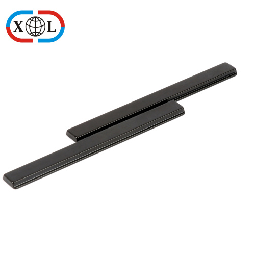 Doppelseitiger Seltener Erde Nefeb Magnet Black Epoxy