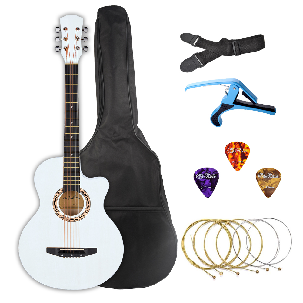 ギター Neotenic Sound PureAcoustic ギター Neotenic Sound