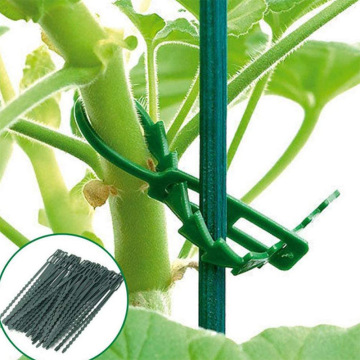 Fishbone Design Green Plastic Garden Vine Ties: 50 Pieces in Pack - Ideal for Plant Binding and Gardening Artifacts