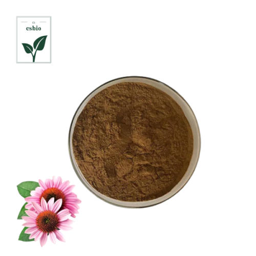 Echinacea Purpurea Extract Powder